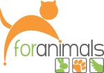 Chameleon Logo