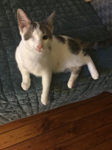 una adopted