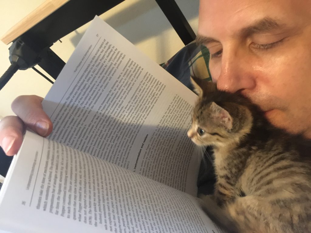 A For Animals' rescue kitten Rosalind with her foster dad. Photo by volunteer MSJ For Animals' rescue kitten Rosalind with her foster dad.