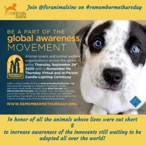 Remember Me Thursday For Animals