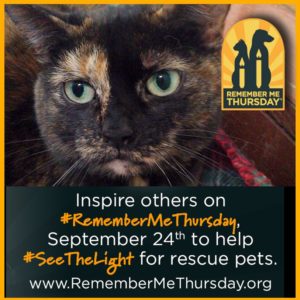 Remember Me Thursday For Animals