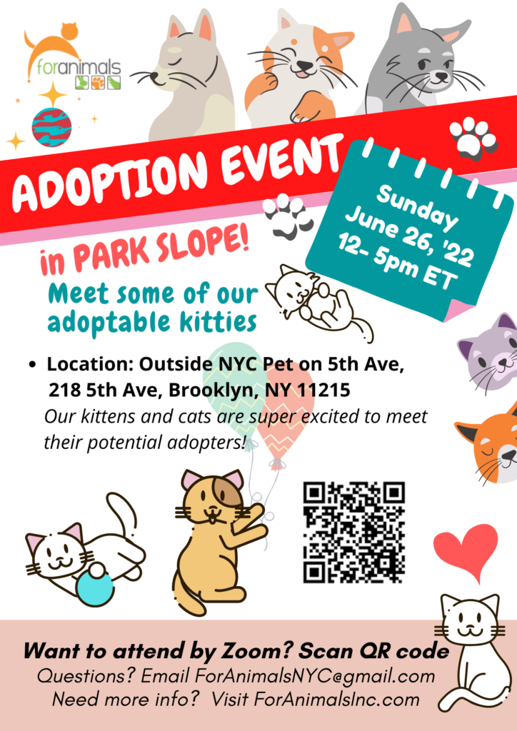 For Animals Inc Brooklyn Adoption Event