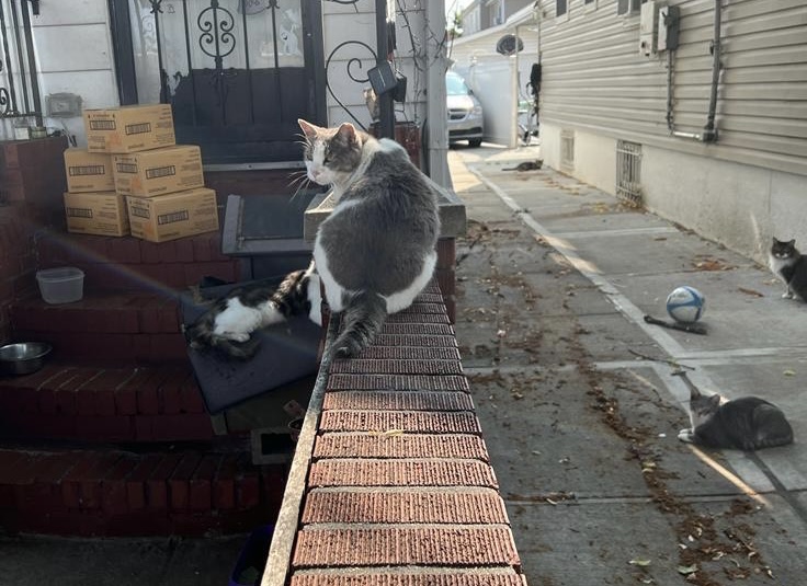 0ab895a6-1b41-4236-a30b-578116e1f102